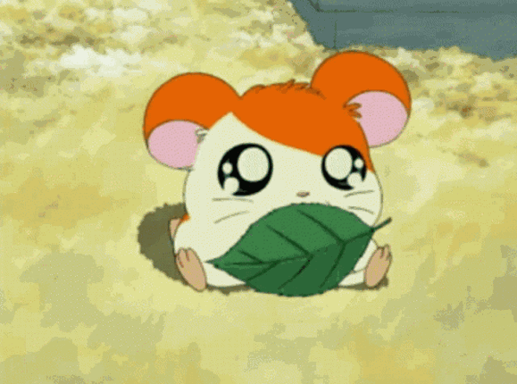 Go! Hamtaro Game Cover