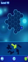 Physical Hexagons-Joy Puzzles Image