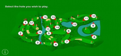 Pro Golf Challenge Image