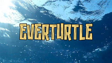 EverTurtle Image