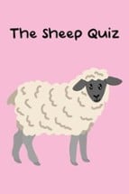 The Sheep Quiz Image