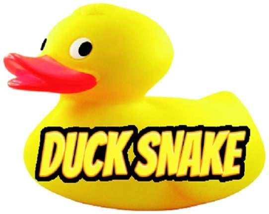 Duck Snake Game Cover