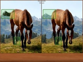 Horses Spot the Difference Image