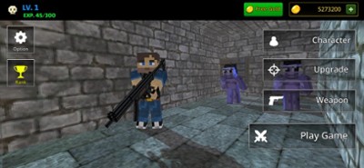 Pixel FPS 3D Image