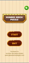 Puzzle Number Search Image