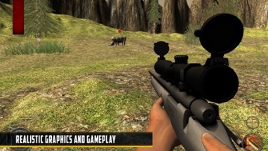 Animals Shooting Sniper Image