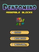 PENTOMINO - ASSEMBLE BLOCKS Image