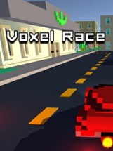 Voxel Race Image
