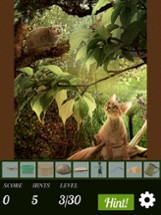 Hidden Object - Cats Island Image