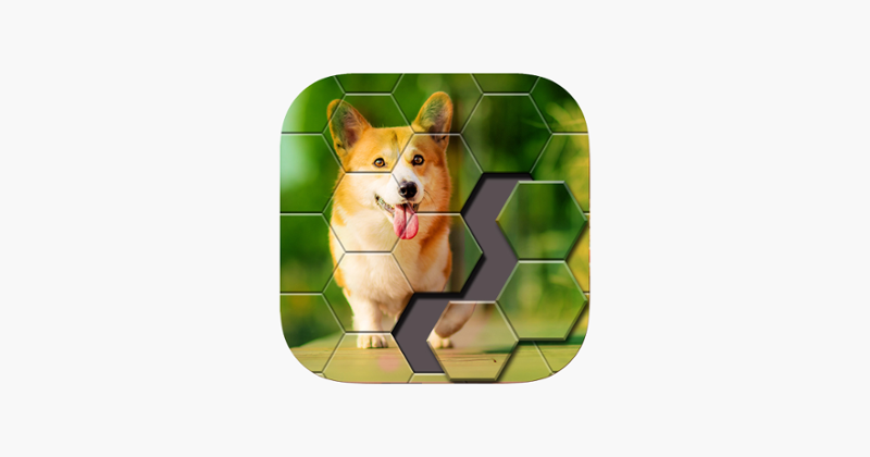 Block Hexa Jigsaw Puzzle Game Cover