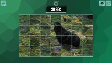 Easy puzzle: Animals 2 Image