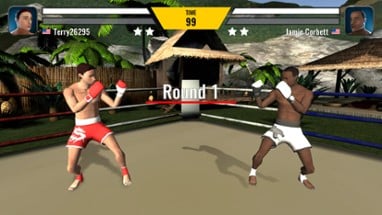 Muay Thai Fighting Image