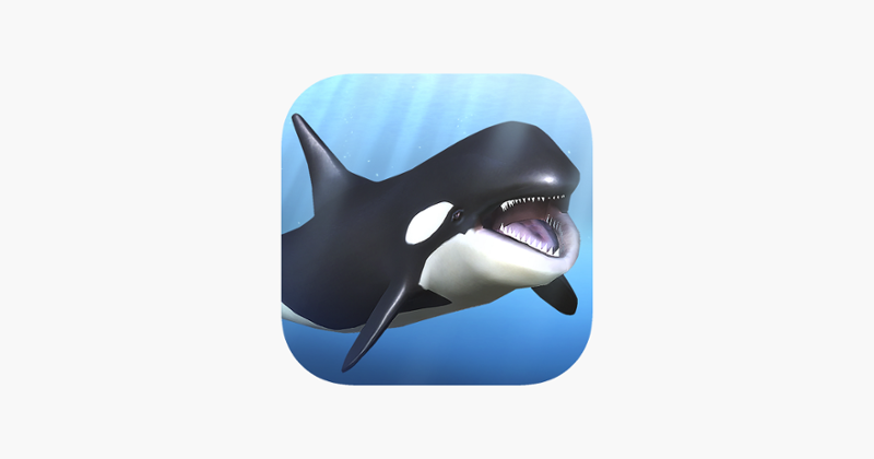 Orca  and marine mammals Game Cover