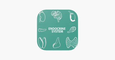 Endocrine System Quizzes Image