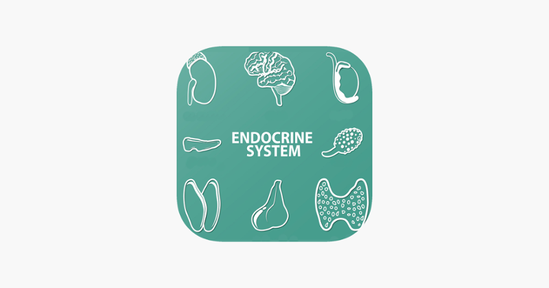 Endocrine System Quizzes Game Cover