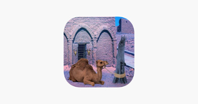 Escape Game Desert Camel Image