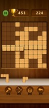 Wood Block Puzzle 2024 Image