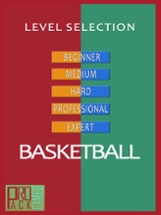 Classic Multiplayer Basketball game: Flick &amp; Throw Image