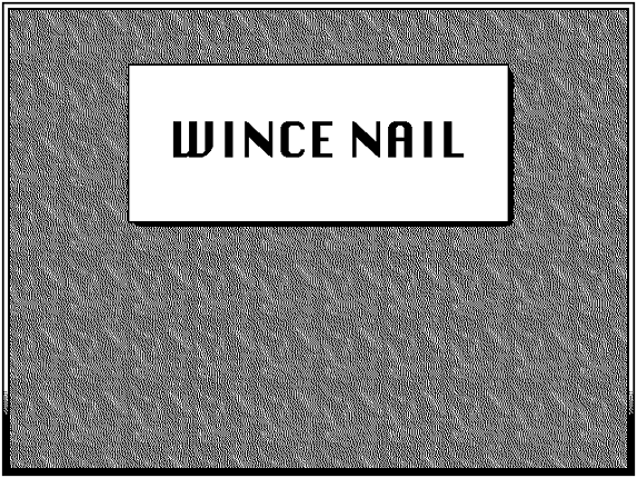 Wince Nail Game Cover