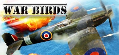 War Birds: WW2 Air strike 1942 Image