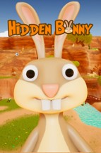 Hidden Bunny Image