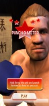 Iron Fist Boxing Lite Image