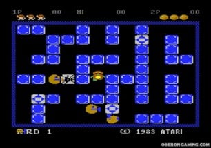 Pengo Image