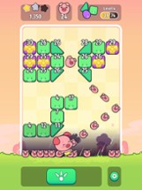 Piggy Blast Image