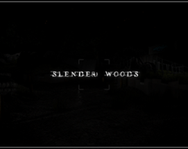 Slender: Woods (FanGame I guess) Image