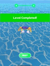 Crab Run Image