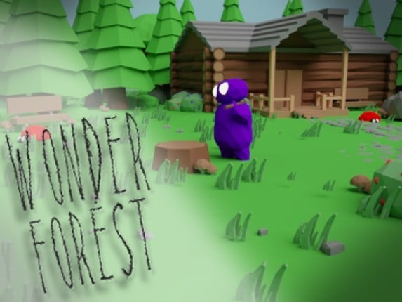 Wonder Forest Game Cover