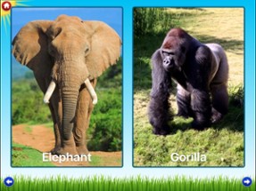 Zoo Sounds Lite - A Fun Animal Sound Game for Kids Image