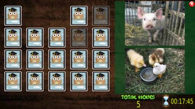 All Animals Pairs Memory Game Image
