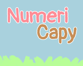 NumeriCapy Image