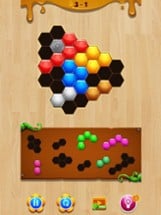 Wood Hexa Block Puzzle Image