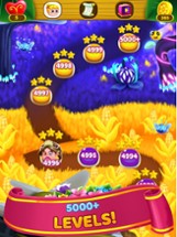 Flower Games - Bubble Pop 2024 Image