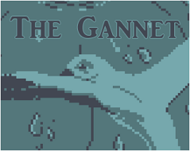 The Gannet Image