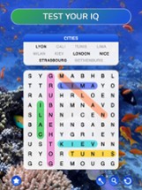 Word Search Journey - Puzzle Image
