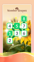 Vita Numberscapes Link Puzzle Image