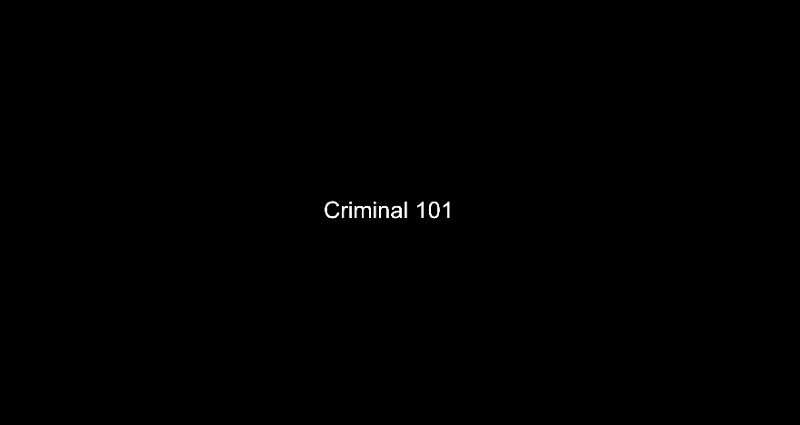 Criminal 101 Game Cover
