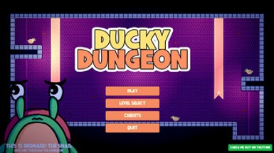 Ducky Dungeon Image