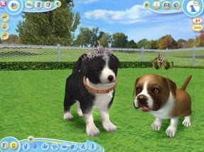 Petz: Dogz 2 Image