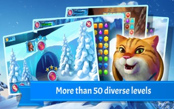 Snow Jewels Puzzle Image