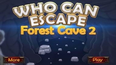 Who Can Escape Forest Cave 2 Image