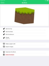 Block Builder for Minecraft Image