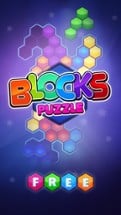 Blocks Puzzle - Hexagon Game Image