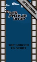 Ninja Drop Image