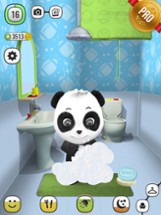 ! My Talking Panda MO - Virtual Pet PRO Image