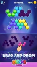 Blocks Puzzle - Hexagon Game Image