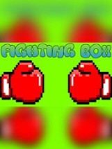 FIGHTING BOX Image